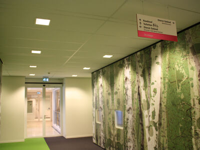 Gemeente Emmen