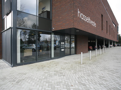 Hasseltveste