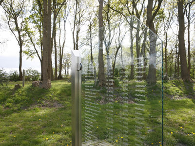 Joods Monument