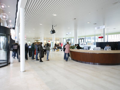 Overheid